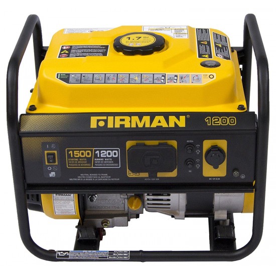 Firman P01202 1500/1200 Watt Recoil Start Generator with 12 V Outlets, cETL, CARB